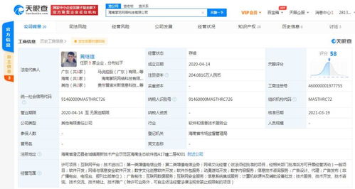軟件銷售 策略與實踐指南